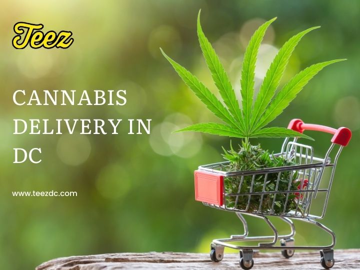10 Best Ideas for Cannabis Delivery in DC