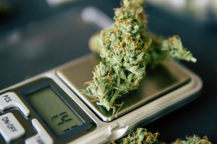 Ways to Buy Cannabis Online: Exploring Alternatives and Legalities
