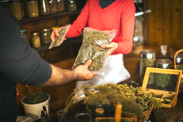 Cannabis Convenience: Unveiling the Best Online Weed Shops for Your Needs