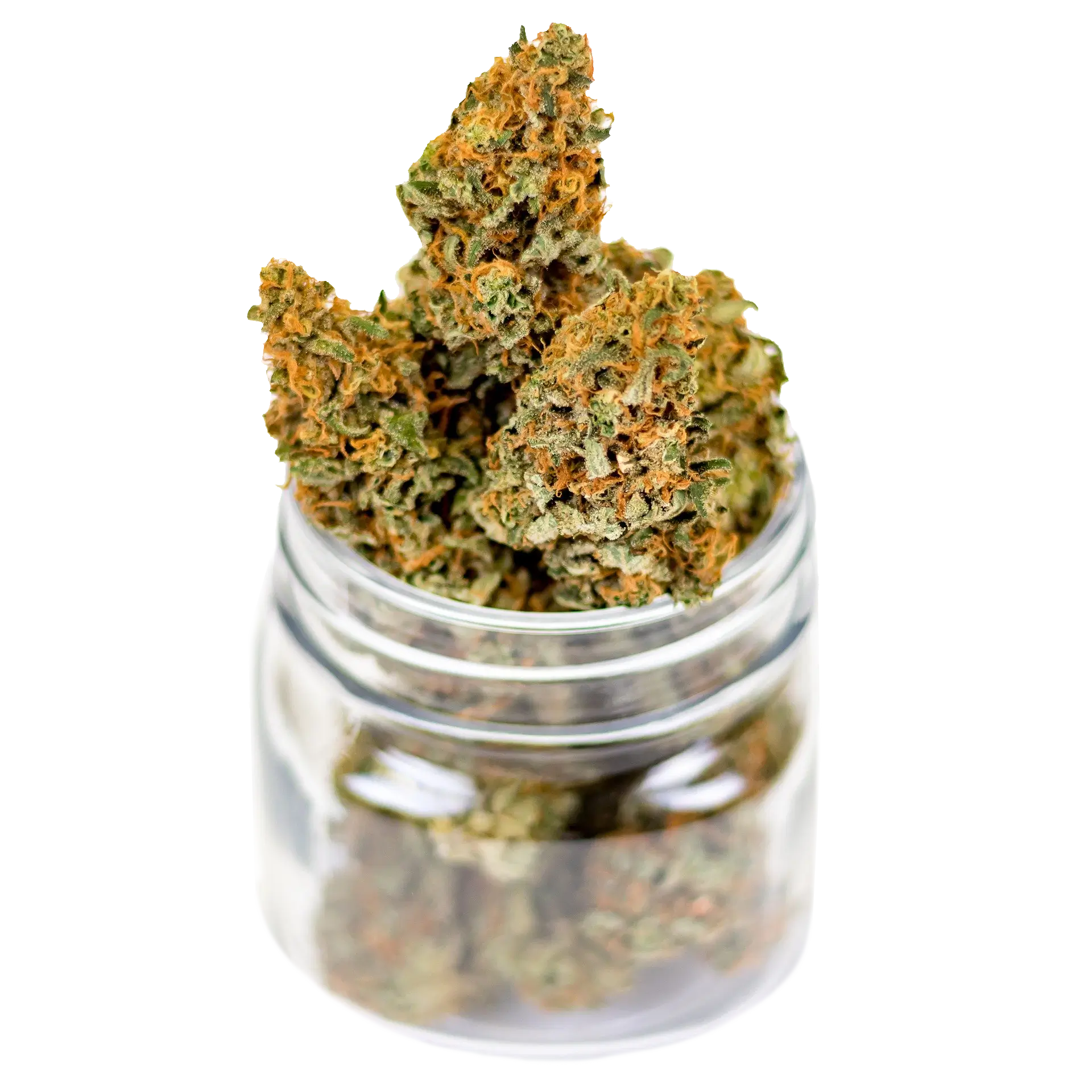 Premium Flowers