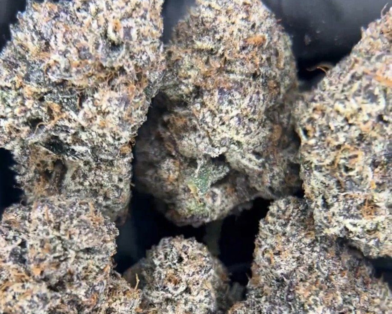 Exotic Flower: Slurty