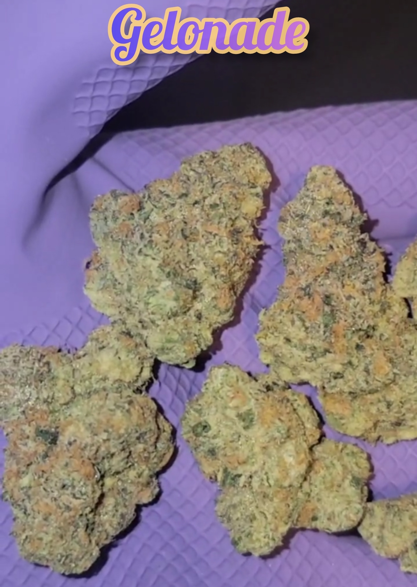 Exotic Flower: LA Trufflez