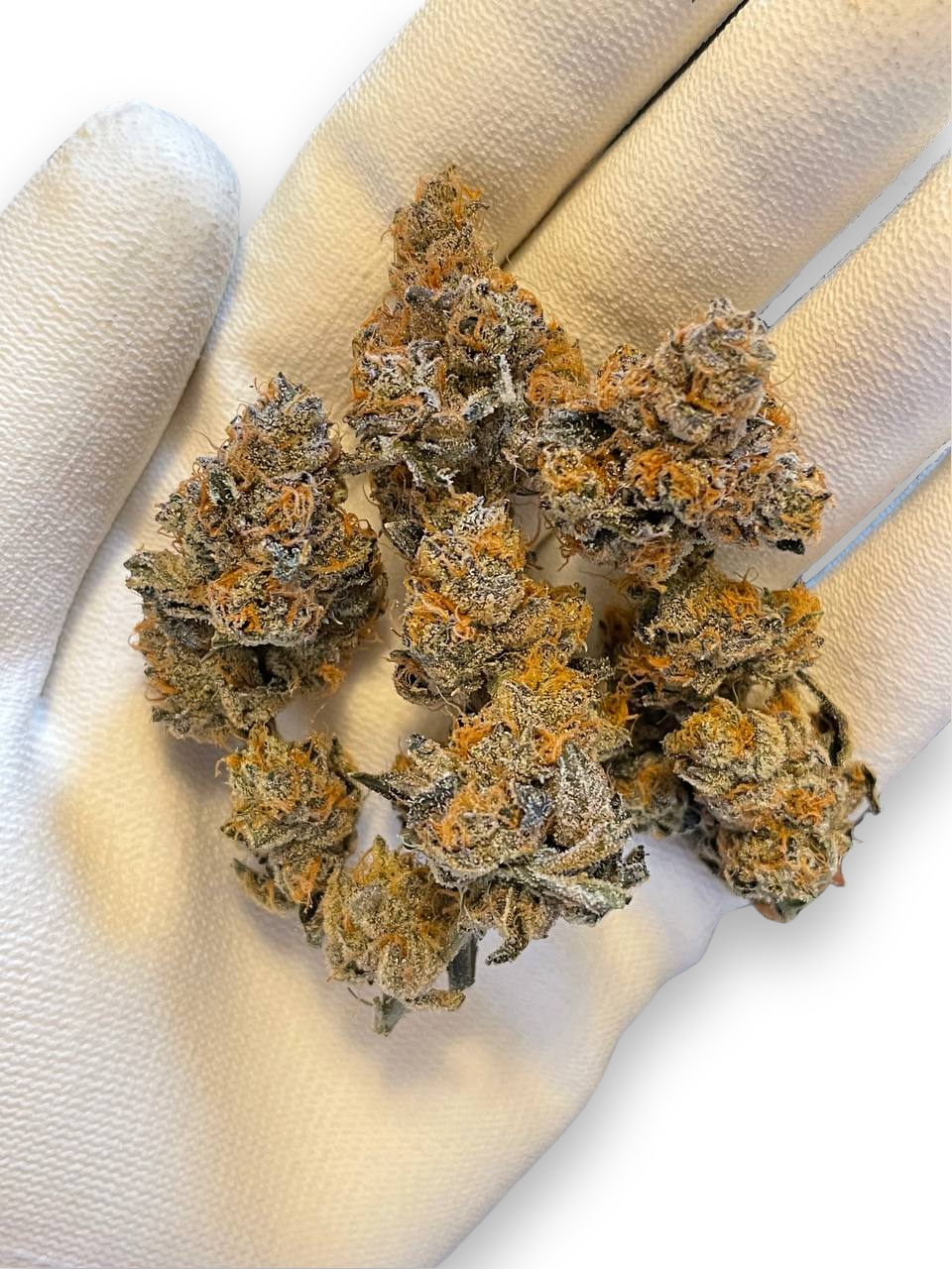 Headstash: Forum Cut Cookies