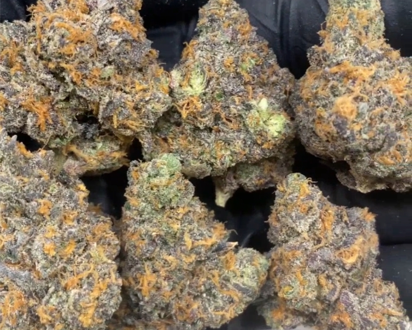Exotic Flower: Truffle Butter
