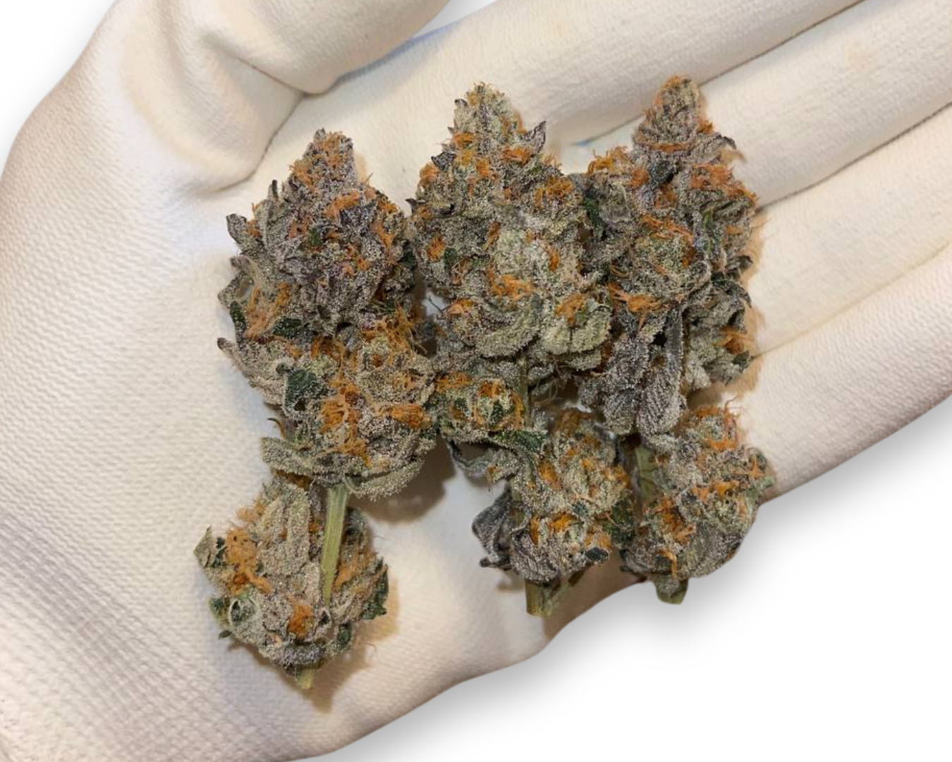 Headstash: Peanut Butter Pie
