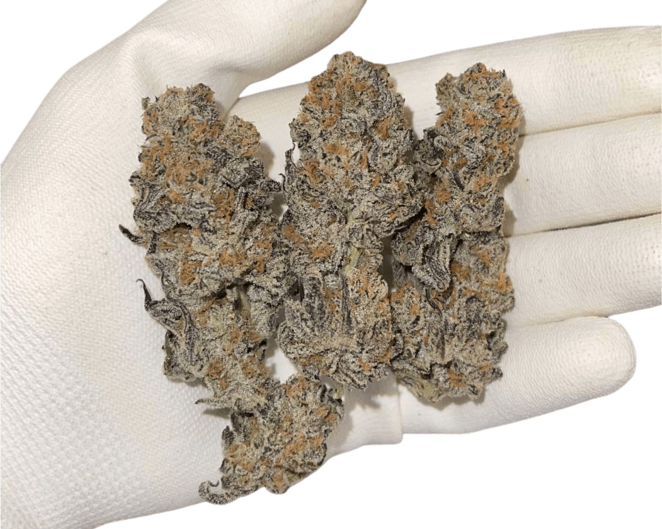 Headstash: Pure Michigan