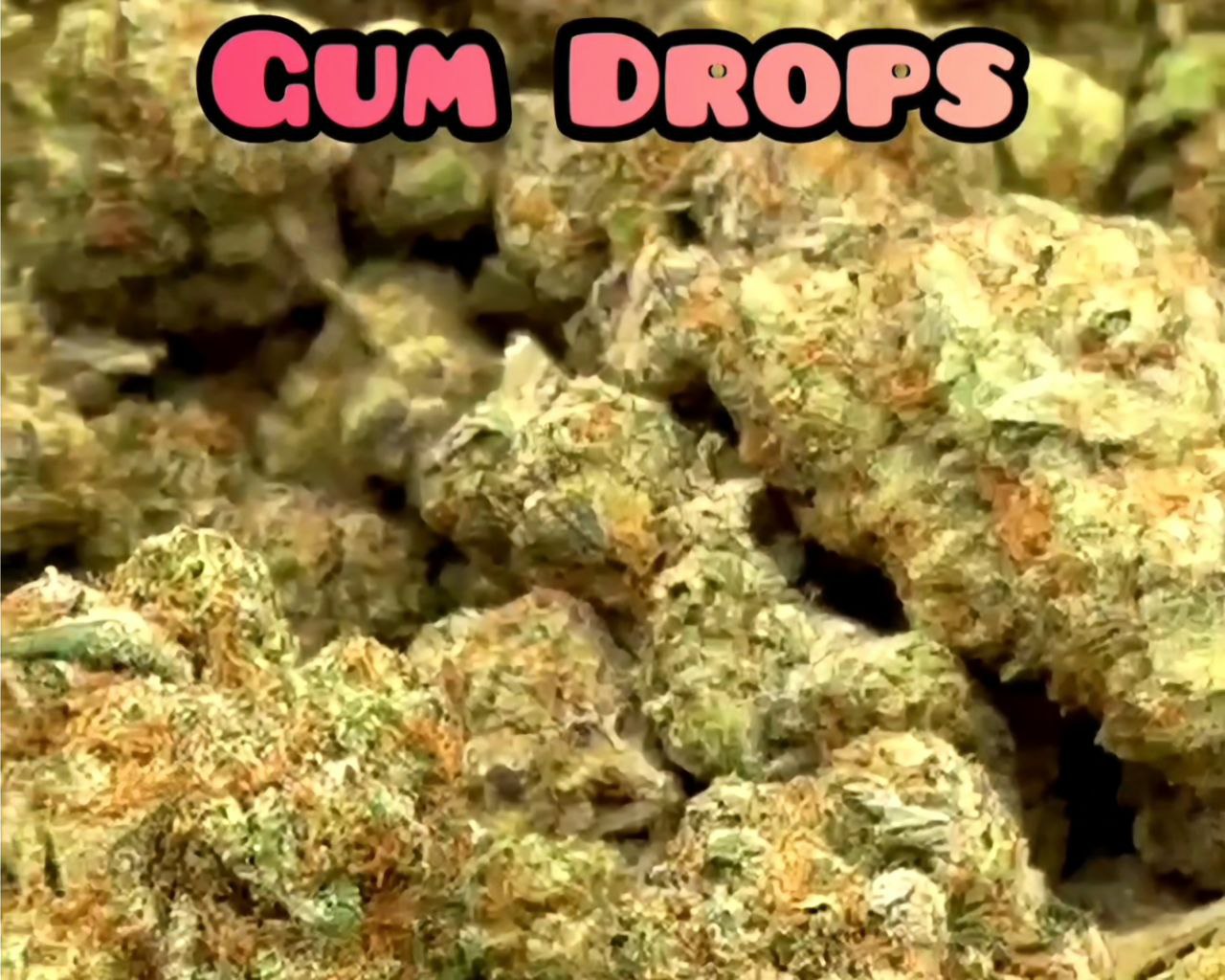 Gum Drops - Sativa Dominant