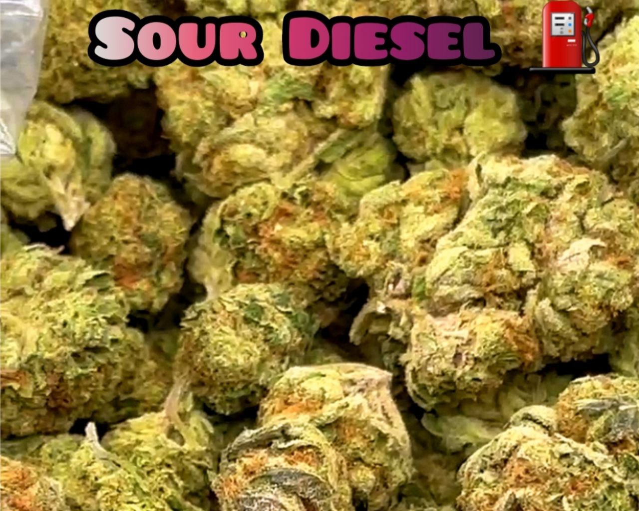 Sour Diesel - Sativa