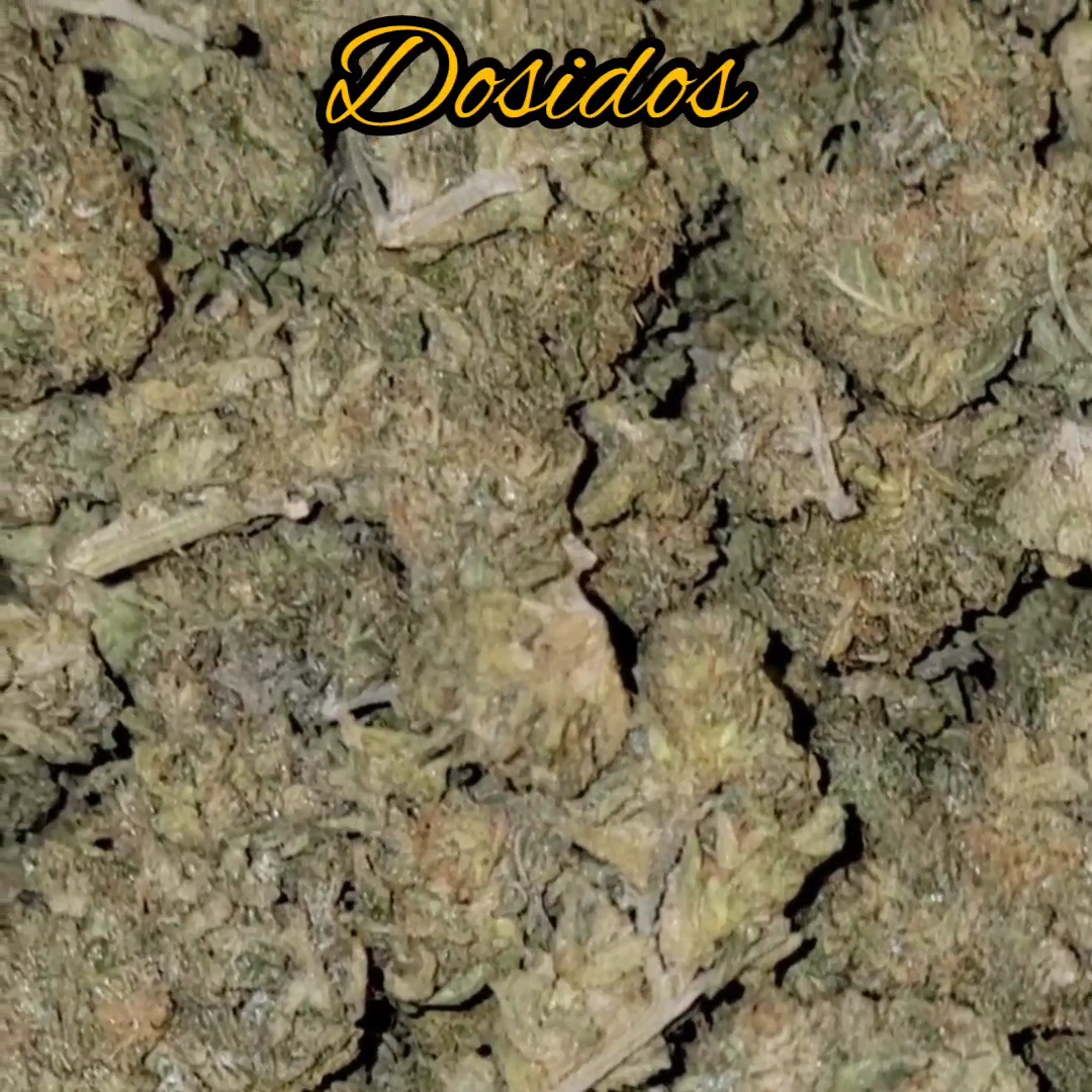 Dosidos - Hybrid