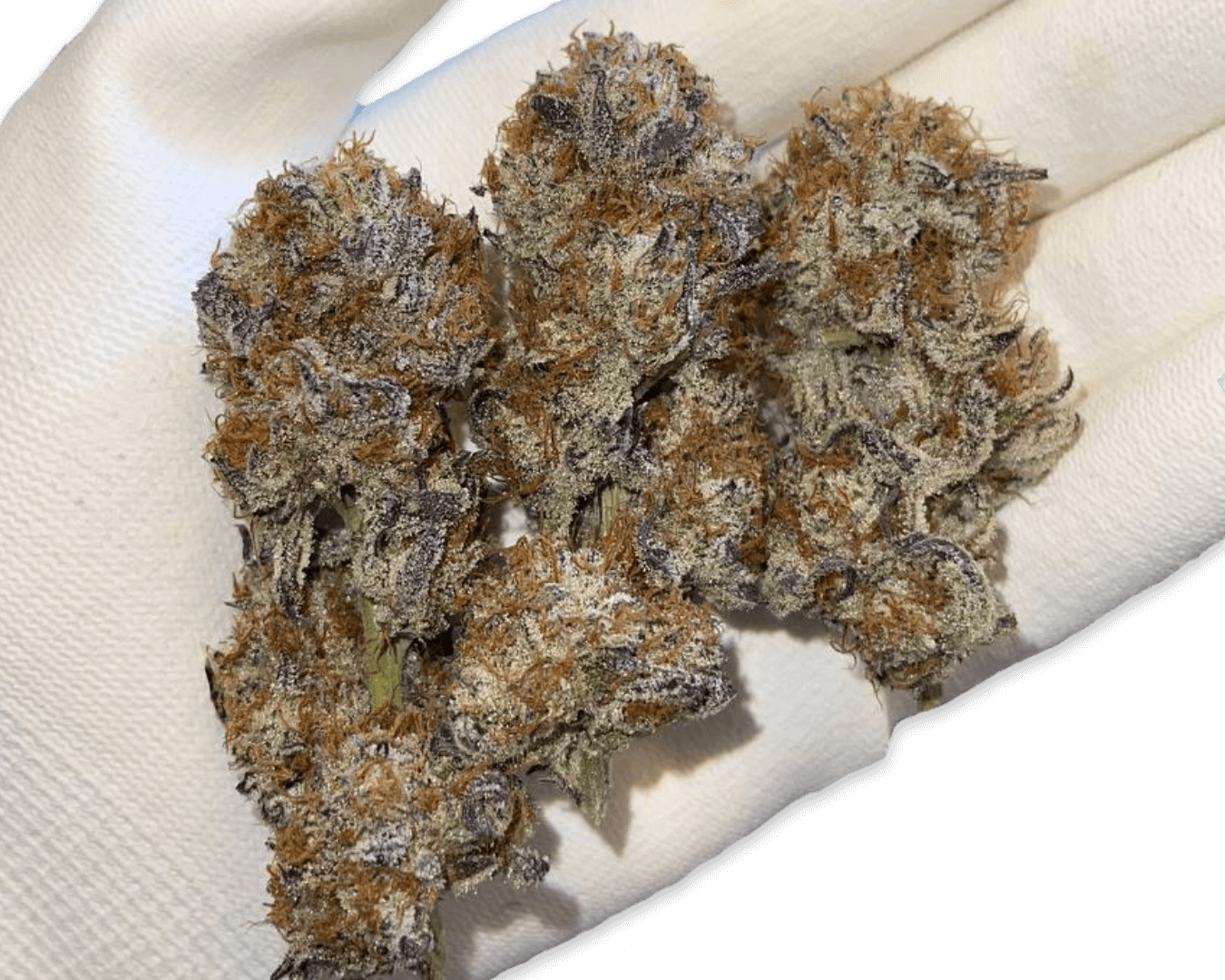 Headstash: Meatbreath 