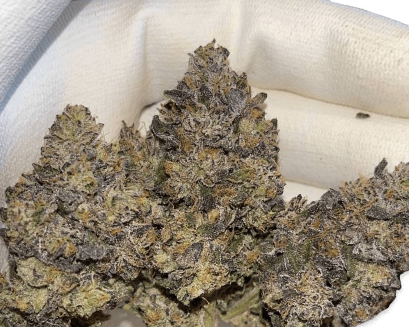 Headstash: Gelato 33