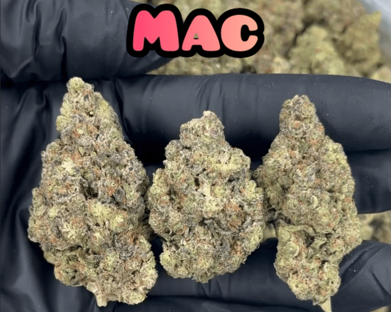 MAC - Hybrid