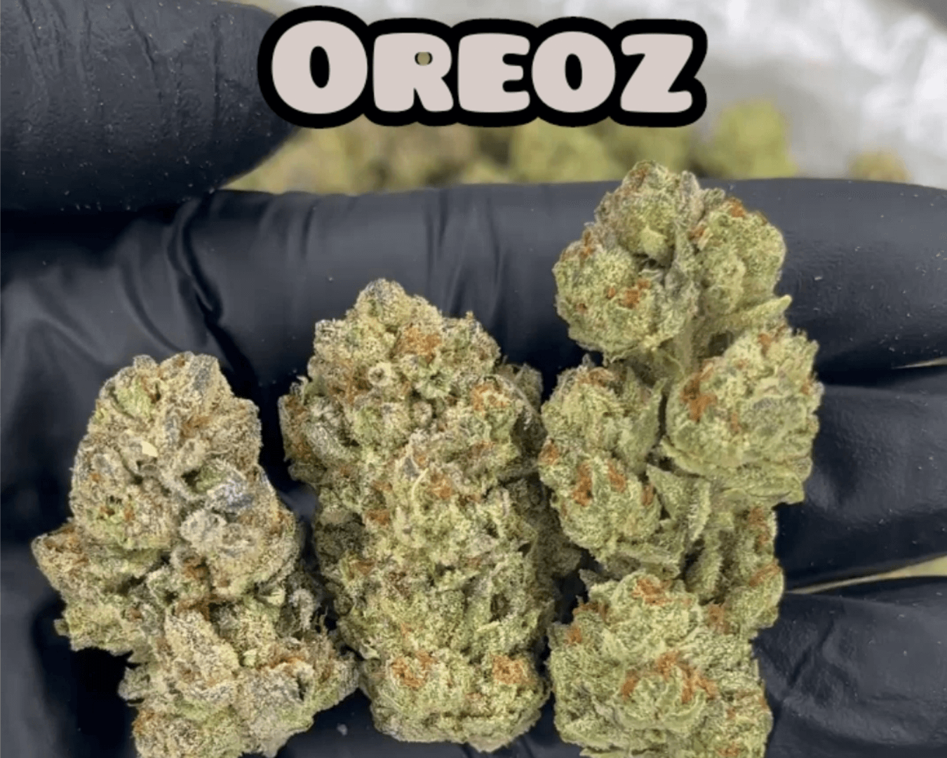 Oreoz - Indica Dominant